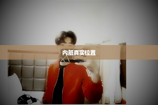 内脏真实位置