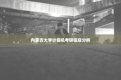 内蒙古大学计算机考研信息分析