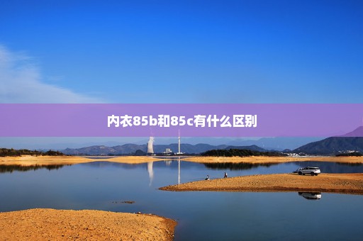 内衣85b和85c有什么区别
