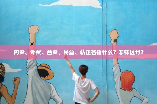 内资、外资、合资、民营、私企各指什么？怎样区分？