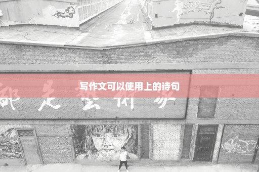 写作文可以使用上的诗句