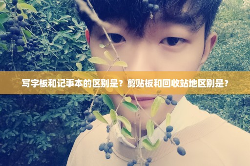 写字板和记事本的区别是？剪贴板和回收站地区别是？