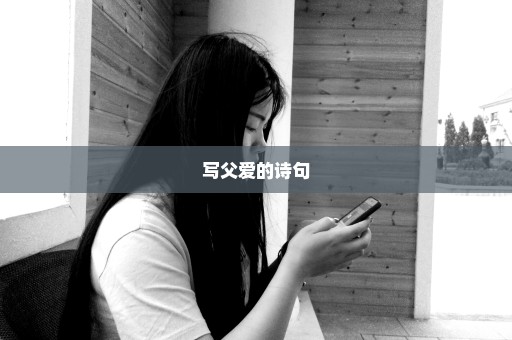 写父爱的诗句