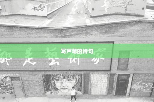 写芦苇的诗句