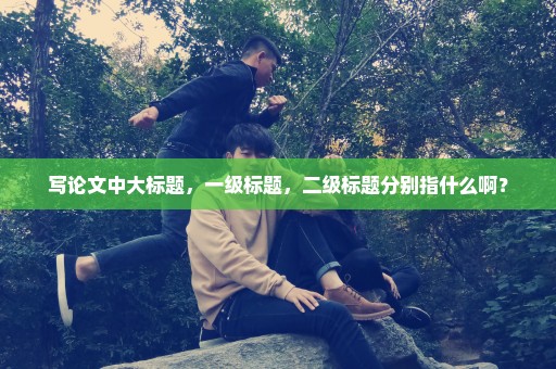 写论文中大标题，一级标题，二级标题分别指什么啊？