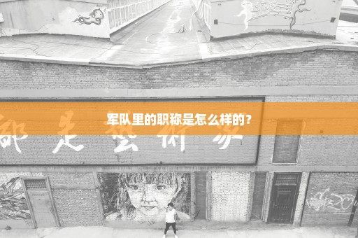 军队里的职称是怎么样的？