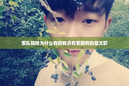 军队院校为什么有的教员有军御有的是文职