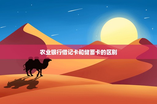 农业银行借记卡和储蓄卡的区别