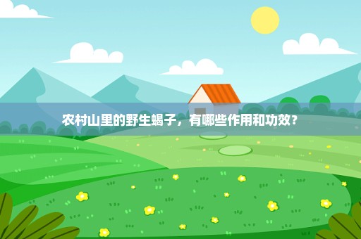 农村山里的野生蝎子，有哪些作用和功效？