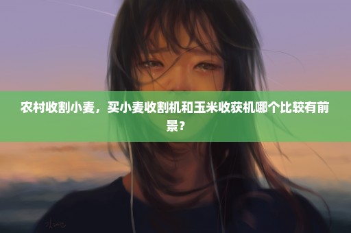 农村收割小麦，买小麦收割机和玉米收获机哪个比较有前景？
