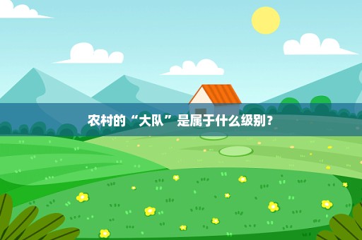 农村的“大队”是属于什么级别？