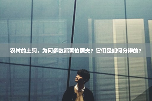 农村的土狗，为何多数都害怕屠夫？它们是如何分辨的？