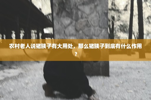 农村老人说猪胰子有大用处，那么猪胰子到底有什么作用？