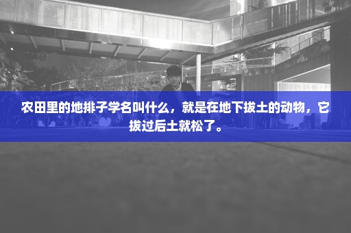 农田里的地排子学名叫什么，就是在地下拔土的动物，它拔过后土就松了。
