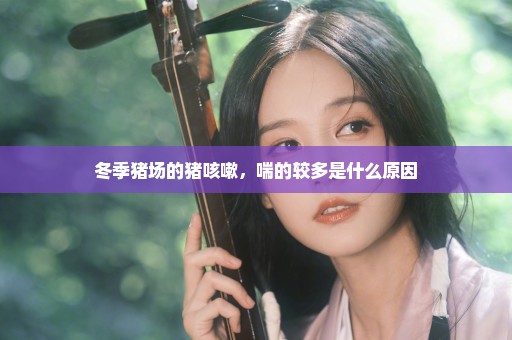 冬季猪场的猪咳嗽，喘的较多是什么原因