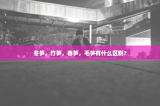 冬笋，竹笋，春笋，毛笋有什么区别？