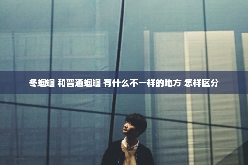 冬蝈蝈 和普通蝈蝈 有什么不一样的地方 怎样区分