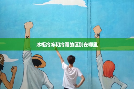 冰柜冷冻和冷藏的区别在哪里
