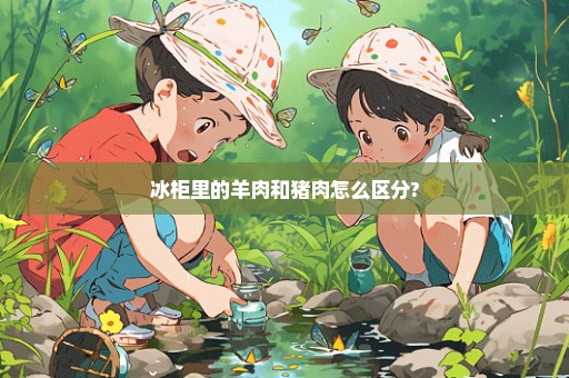 冰柜里的羊肉和猪肉怎么区分?