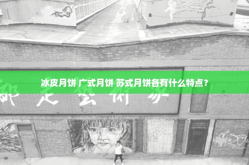 冰皮月饼 广式月饼 苏式月饼各有什么特点？