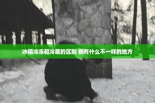 冰箱冷冻和冷藏的区别 都有什么不一样的地方