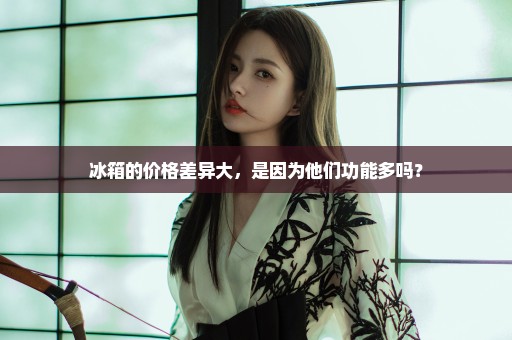 冰箱的价格差异大，是因为他们功能多吗？