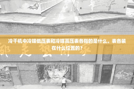 冷干机中冷媒低压表和冷媒高压表各指的是什么。表各装在什么位置的？