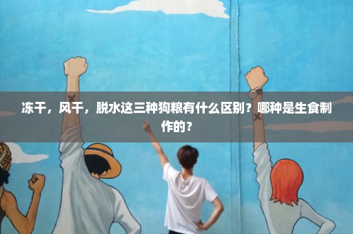 冻干，风干，脱水这三种狗粮有什么区别？哪种是生食制作的？