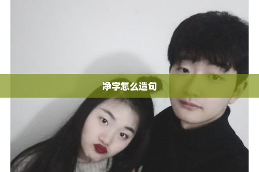 净字怎么造句