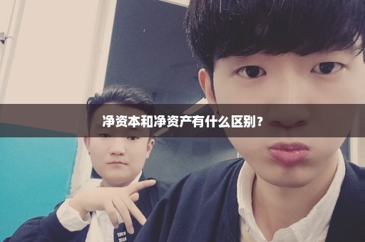 净资本和净资产有什么区别？