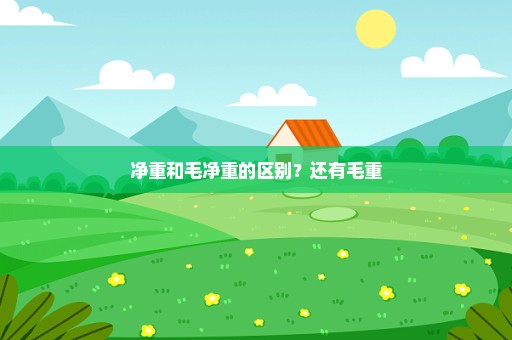 净重和毛净重的区别？还有毛重