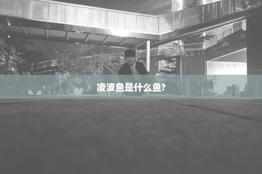 凌波鱼是什么鱼?