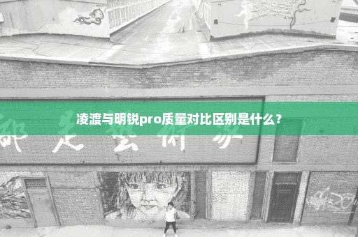 凌渡与明锐pro质量对比区别是什么？