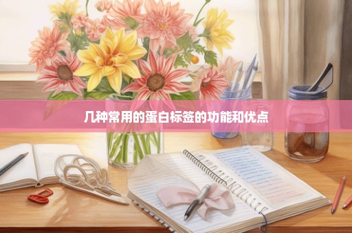 几种常用的蛋白标签的功能和优点