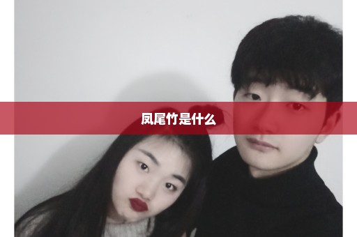 凤尾竹是什么