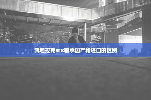 凯迪拉克srx轴承国产和进口的区别