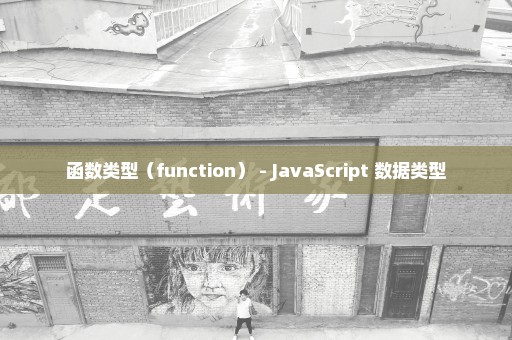 函数类型（function） - JavaScript 数据类型