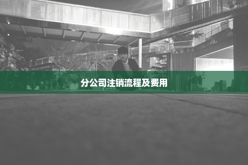 分公司注销流程及费用
