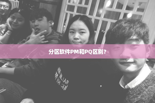 分区软件PM和PQ区别？