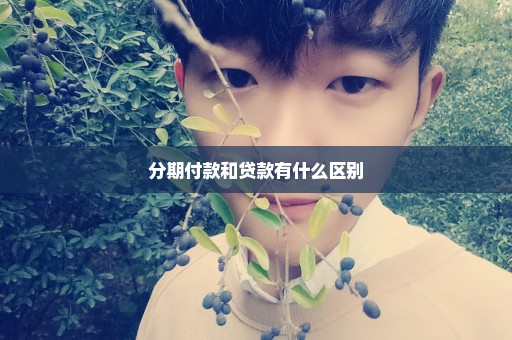分期付款和贷款有什么区别