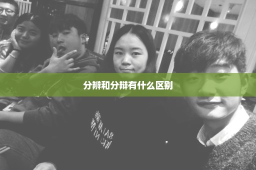 分辨和分辩有什么区别