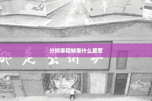 分辨率和帧率什么意思