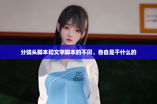 分镜头脚本和文学脚本的不同、各自是干什么的