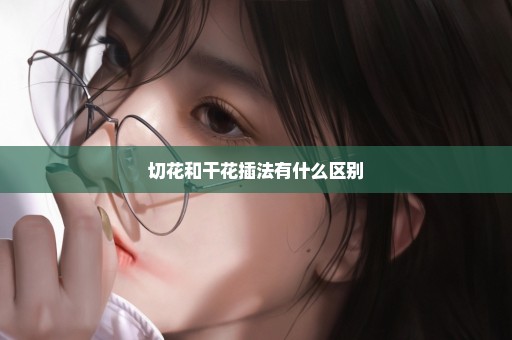 切花和干花插法有什么区别