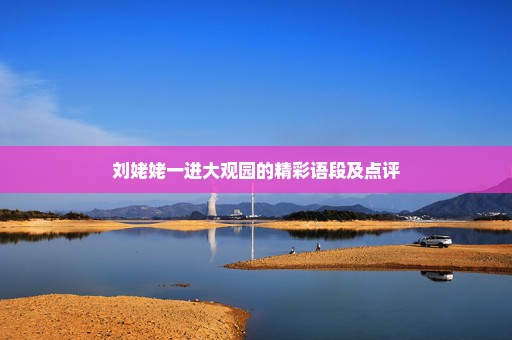 刘姥姥一进大观园的精彩语段及点评