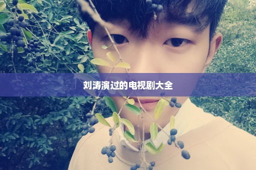 刘涛演过的电视剧大全
