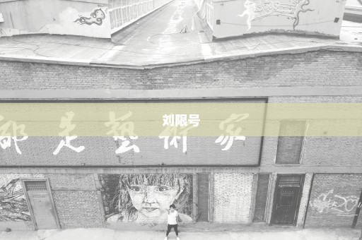 刘限号