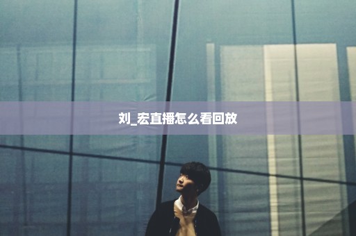 刘_宏直播怎么看回放