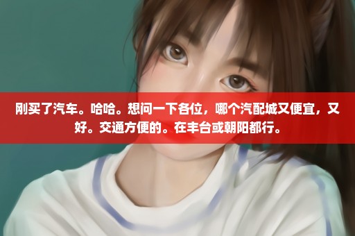 刚买了汽车。哈哈。想问一下各位，哪个汽配城又便宜，又好。交通方便的。在丰台或朝阳都行。