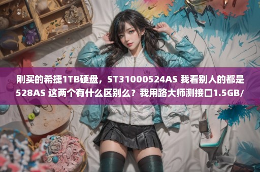 刚买的希捷1TB硬盘，ST31000524AS 我看别人的都是528AS 这两个有什么区别么？我用路大师测接口1.5GB/S
